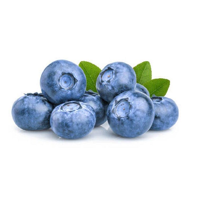 FRUTAS - Arándano en Pote 125 g