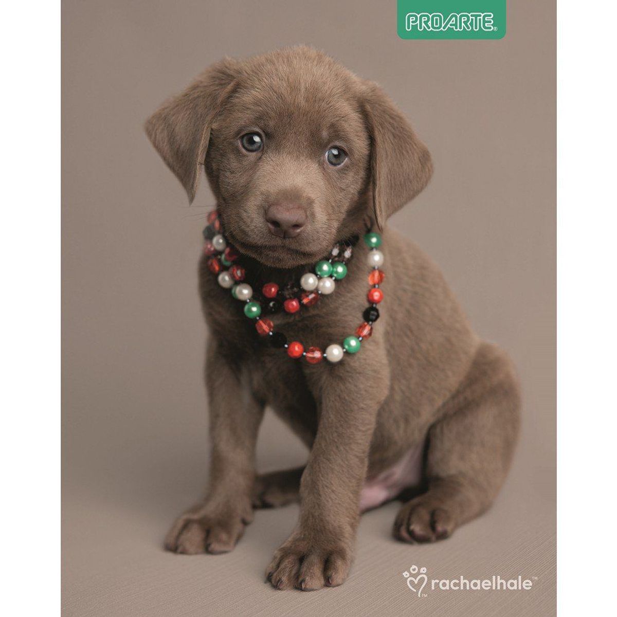 PROARTE - Cuaderno Universitario Animales Adorables 100 Hjs.