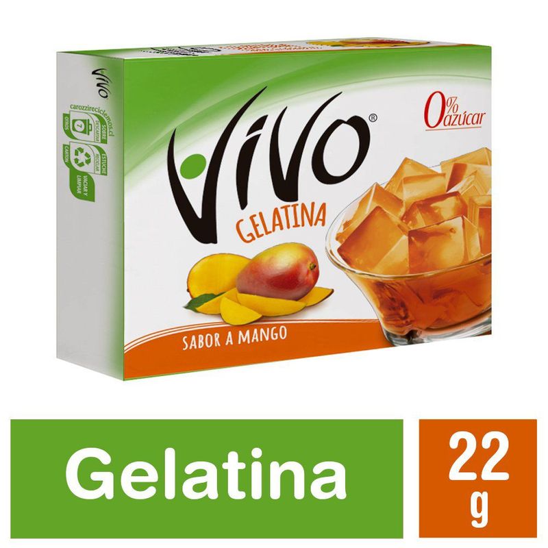 VIVO - GELATINA VIVO MANGO 22 GRS.