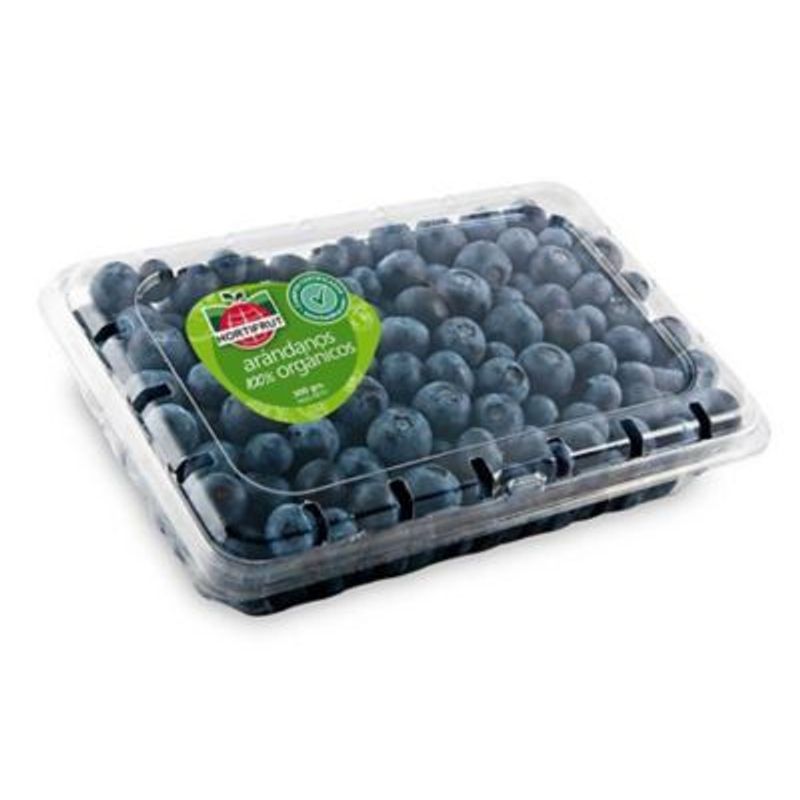  - ARANDANO POTE 300 GR