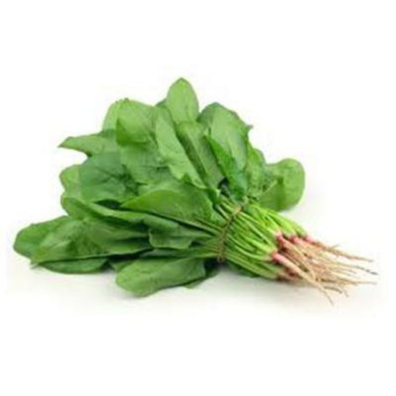 VERDURAS - Espinaca Gourmet Envasada 500 g