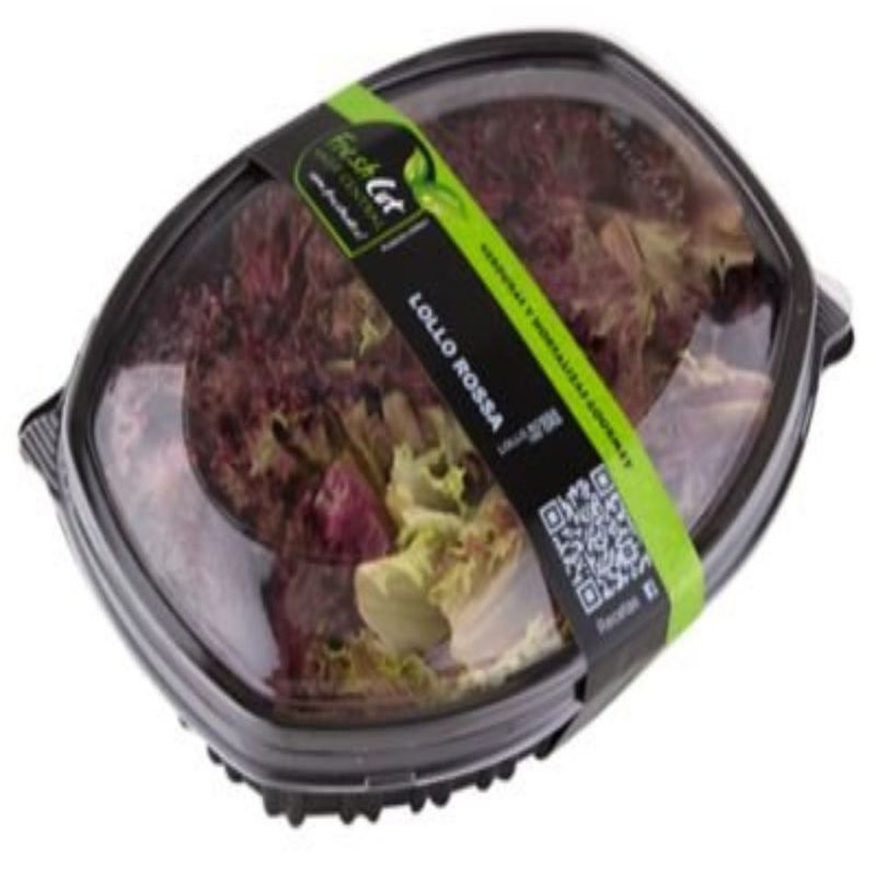 VERDURAS - Hojas Lollo Rosa Envasada 150 g