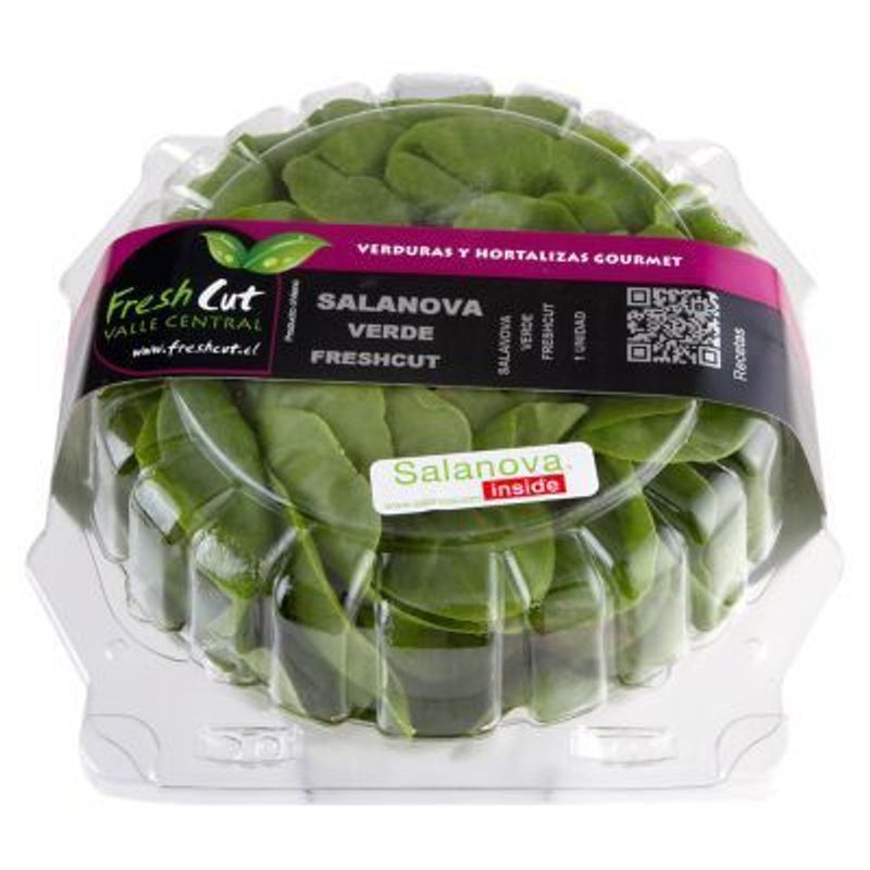 VERDURAS - Lechuga Salanova