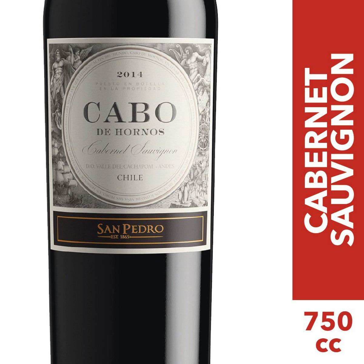 SAN PEDRO - Vin Cabo de Hornos Cabe Sv 750 CC 14G