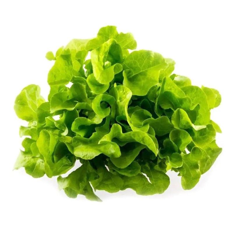 VERDURAS - Lechuga Roble