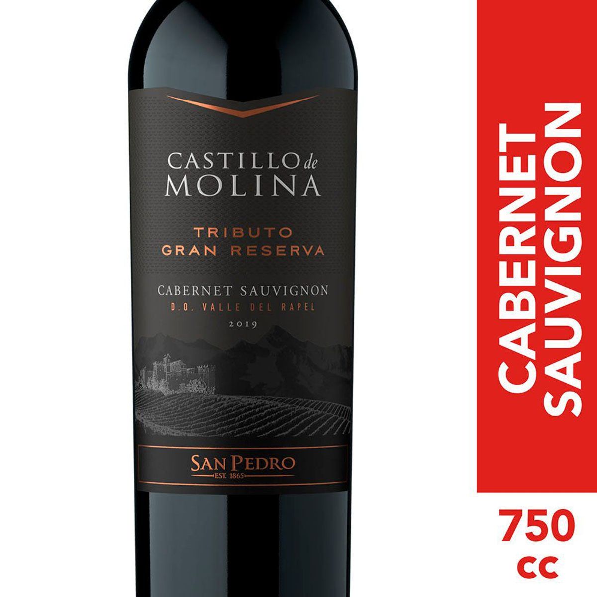 CASTILLO DE MOLINA - Vino Tinto Cabernet Sauvignon Castillo De Molina 15° 750 cc