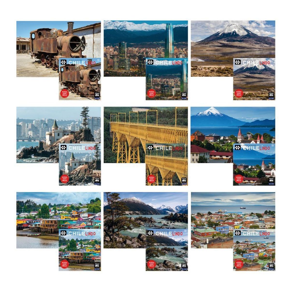 TOYNG - Puzzle 1000 Piezas 12 Modelos Surtidos