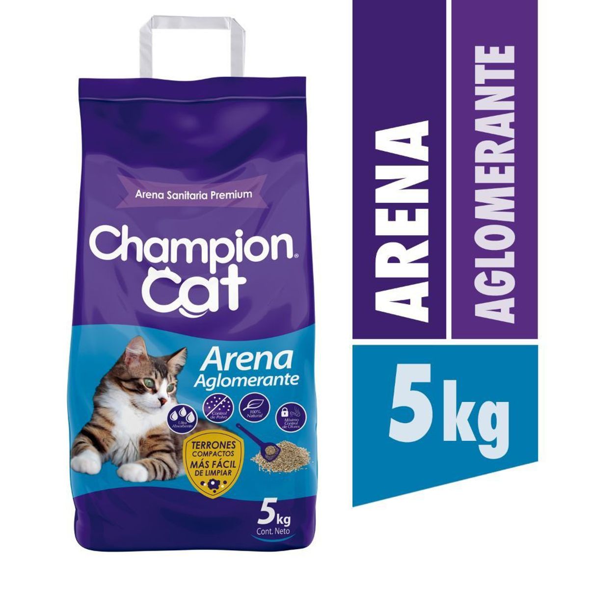 CHAMPION CAT - Arena Sanitaria Aglom  Champion Cat