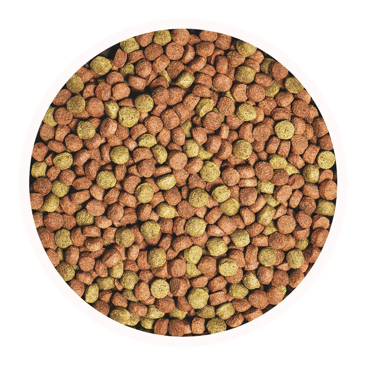 CHAMPION DOG - Alim. Perro Senior Champion Dog