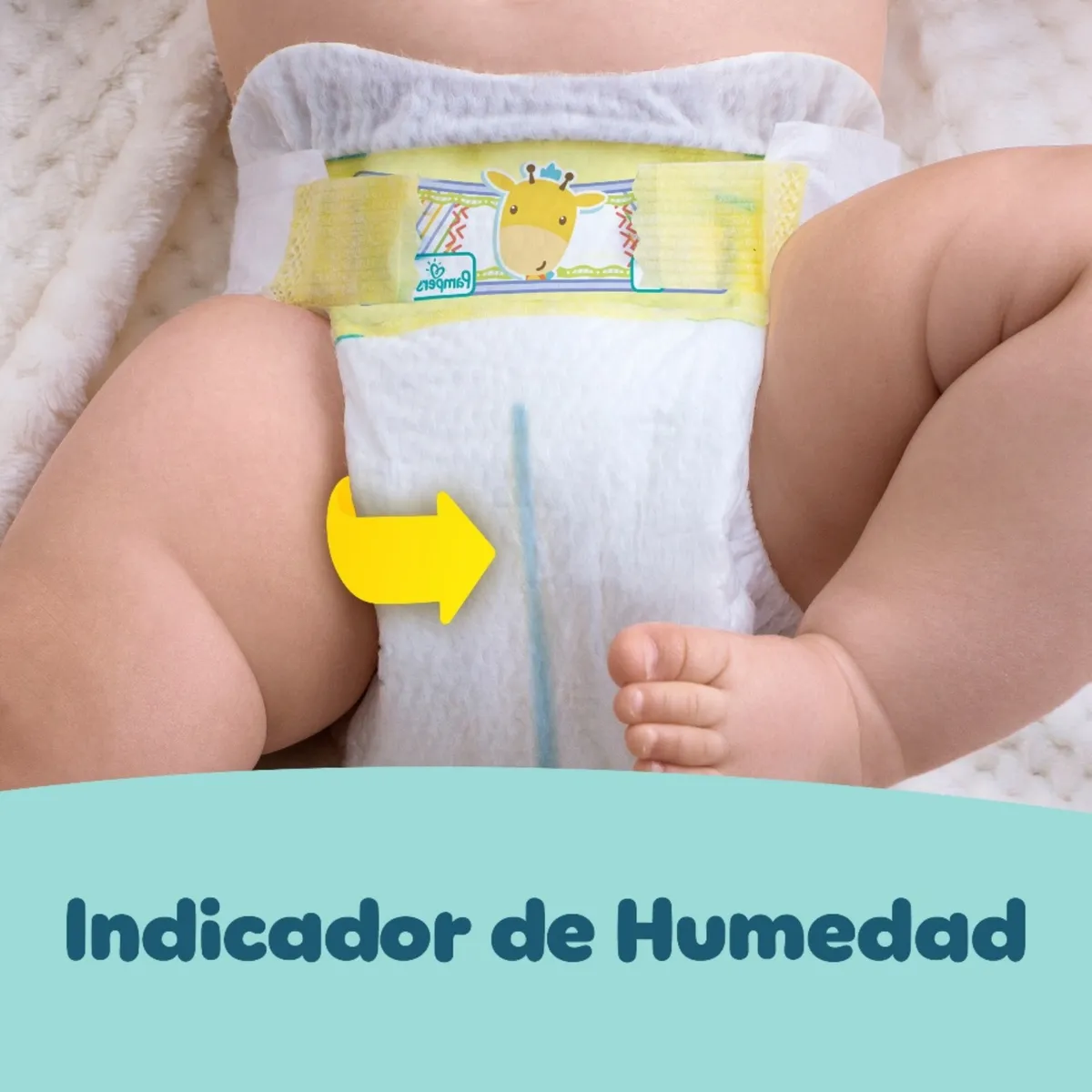 PAMPERS - Pañales Desechables Pampers Premium Care RN+ 36 Un