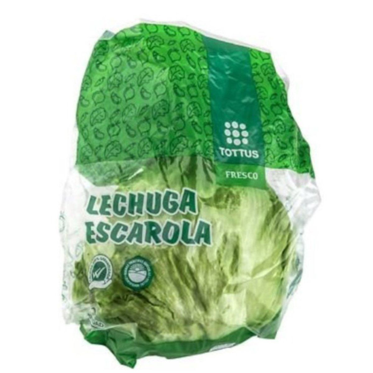 TOTTUS - Lechuga Escarola