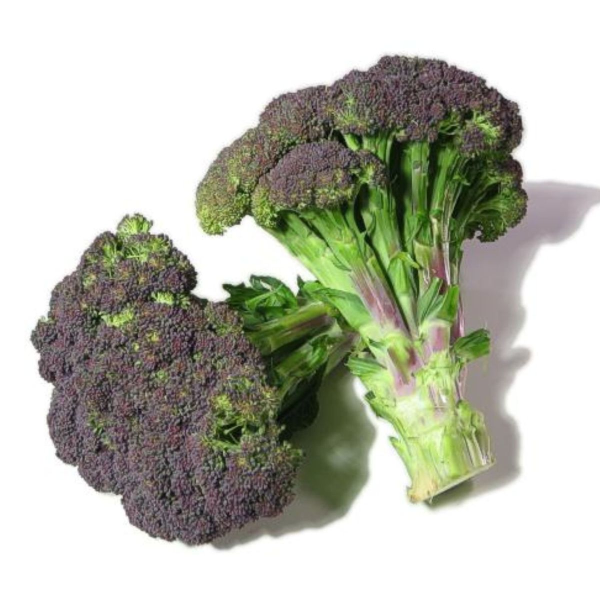 VERDURAS - Brócoli Purpura