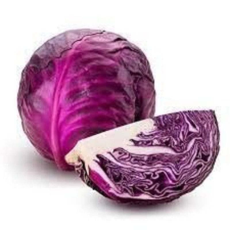 TOTTUS - Repollo Morado