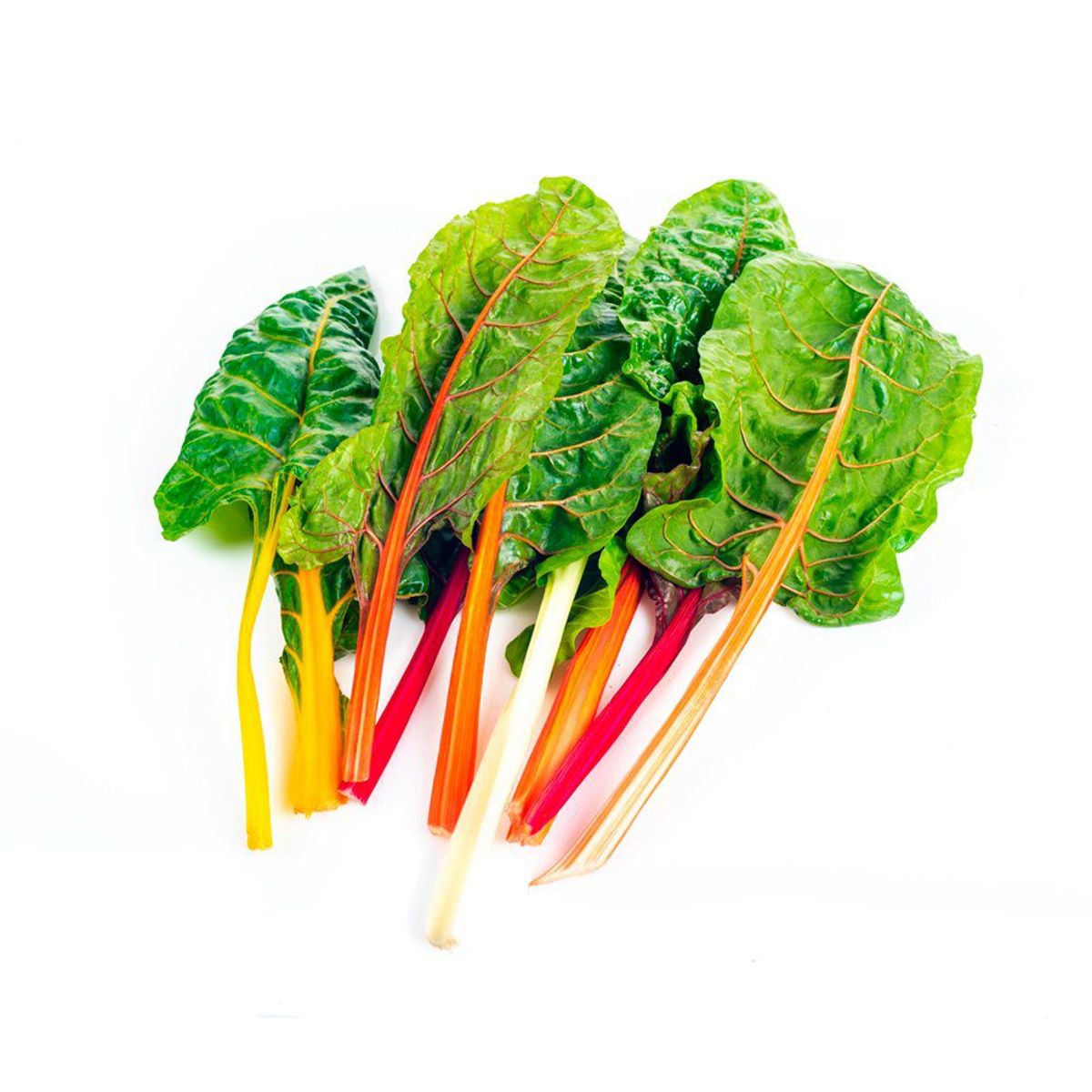 VERDURAS - Acelga Colores en Pote 500 g