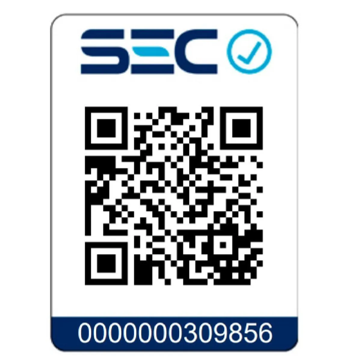 RECCO - Licuadora De Mano Rlm-P200