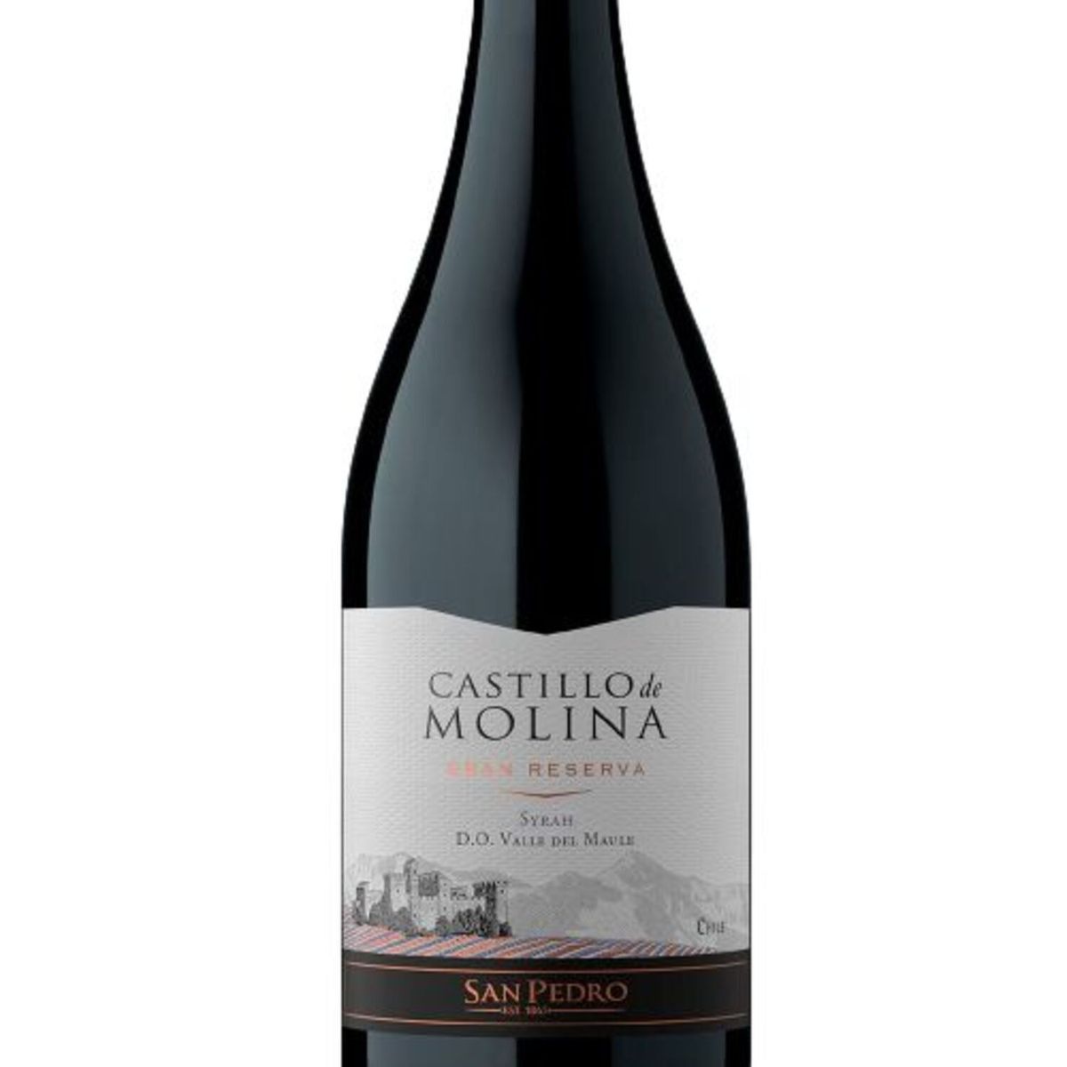 CASTILLO DE MOLINA - Vino Reserva Syrah 14°