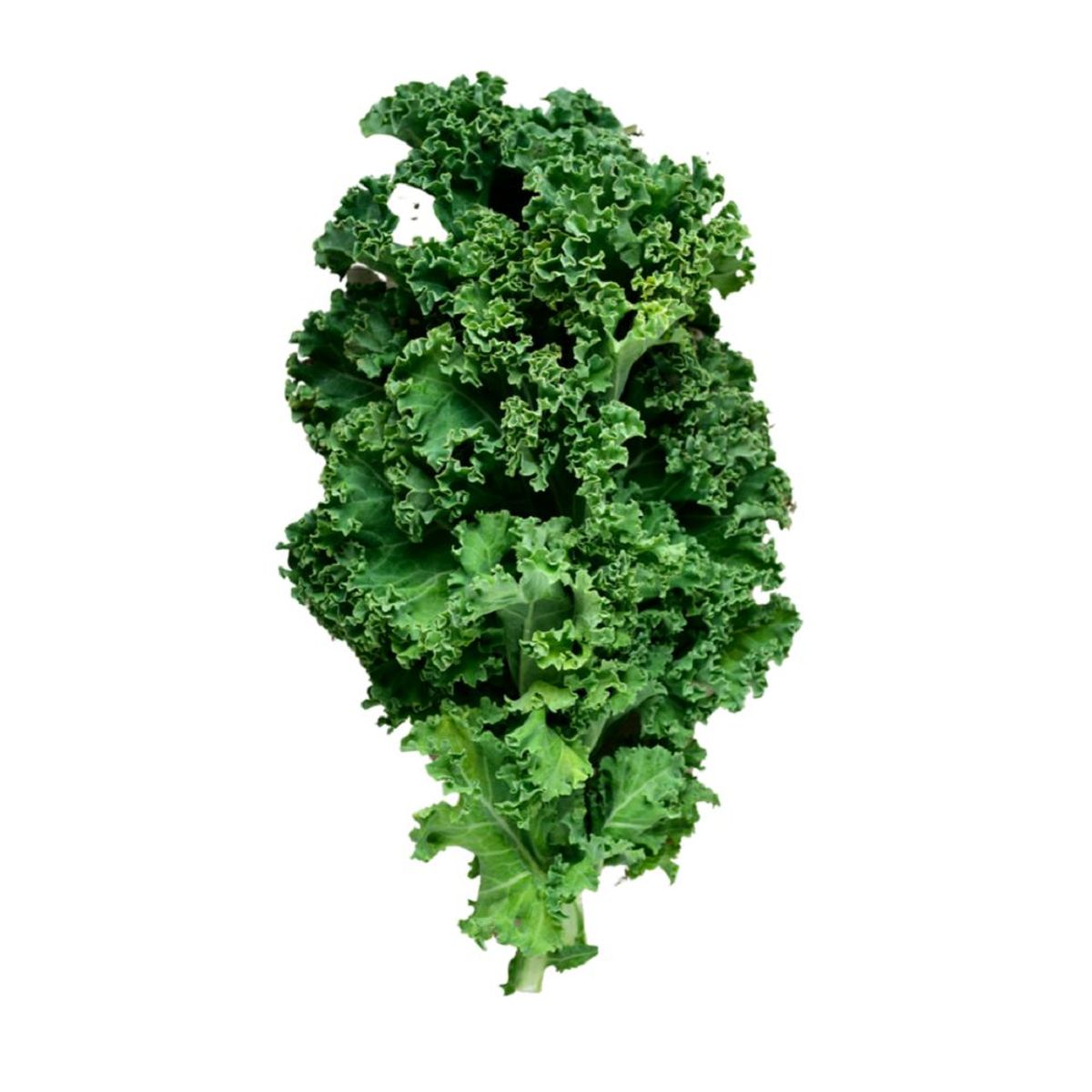 VERDURAS - Kale Rama