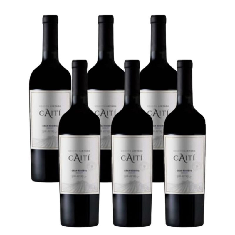 CAITI - Caja Vino Tinto Merlot Gran Reserva Caiti 13.5° 6 x 750 cc