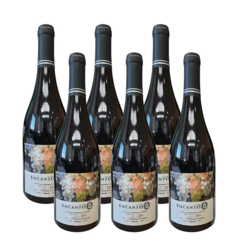 ENCANTO - Caja Vino Tinto País Premium Encanto 13° 6 x 750 cc