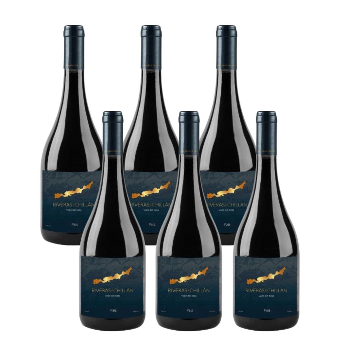 RIVERAS DEL CHILLAN - Caja Vino Tinto País Riveras del Chillan 14° 6 x 750 cc