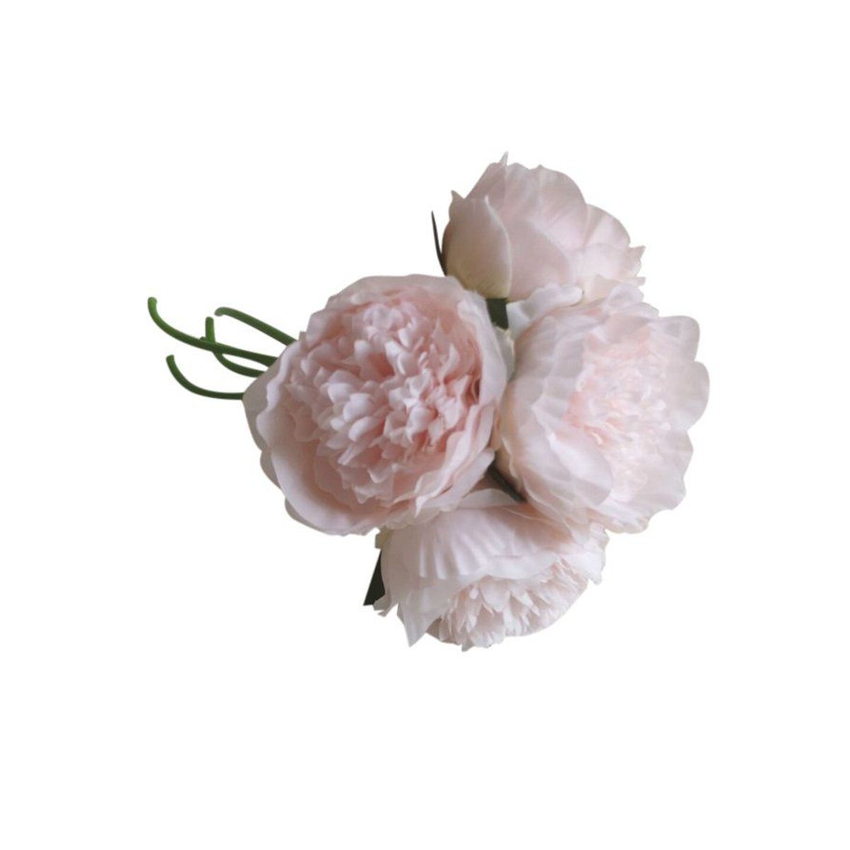 CASA JOVEN - Peonias 5 Unidades Rosadas