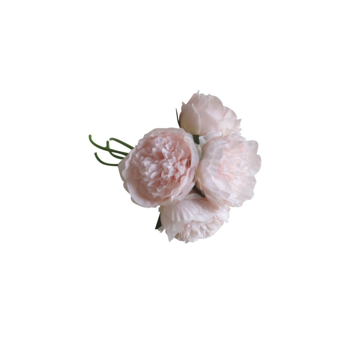 CASA JOVEN - Peonias 5 Unidades Rosadas