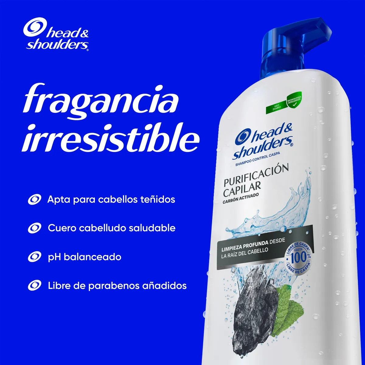  - Shampoo Purificación Capilar Control Caspa