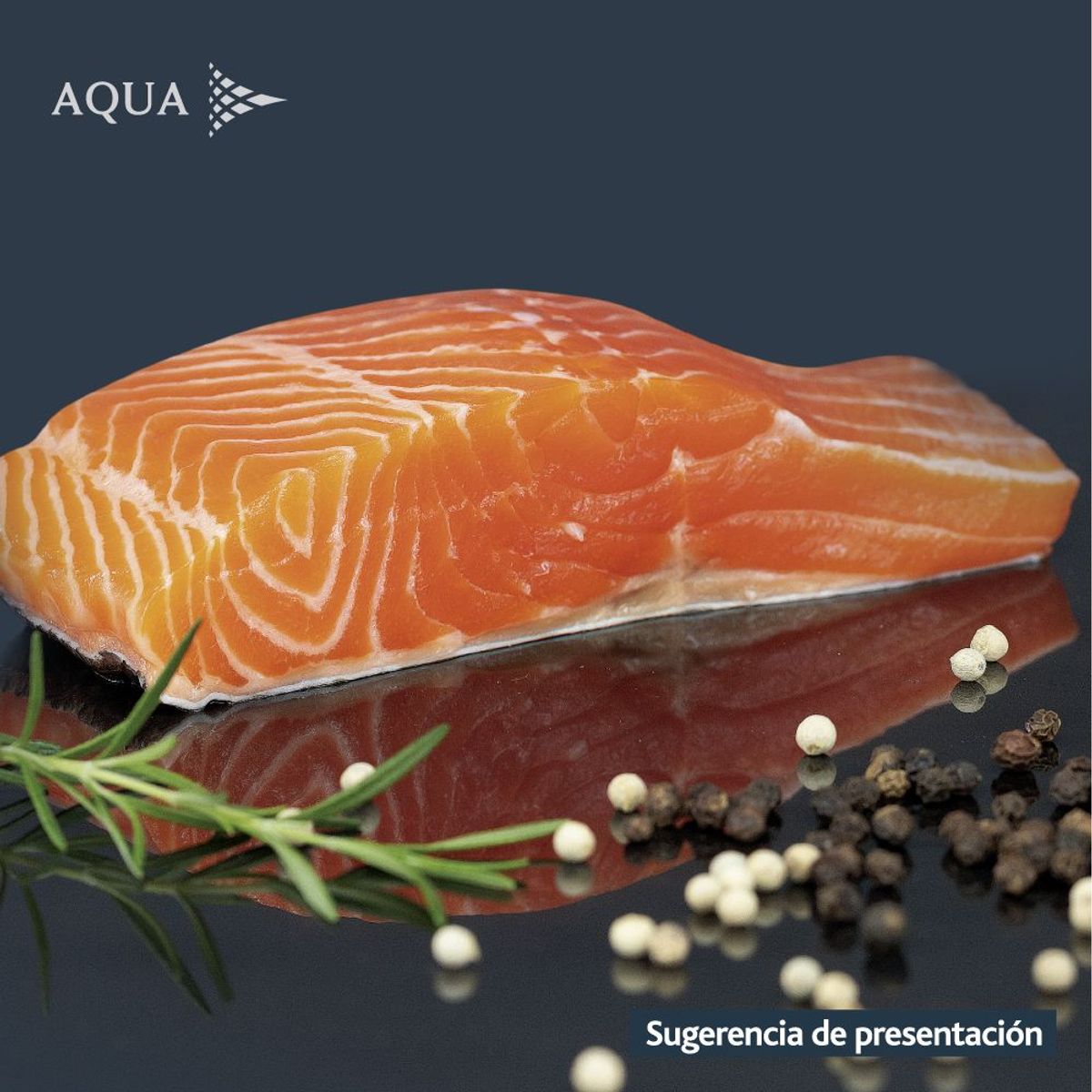 AQUA - Filete de Salmón Congelado Aqua 500 g