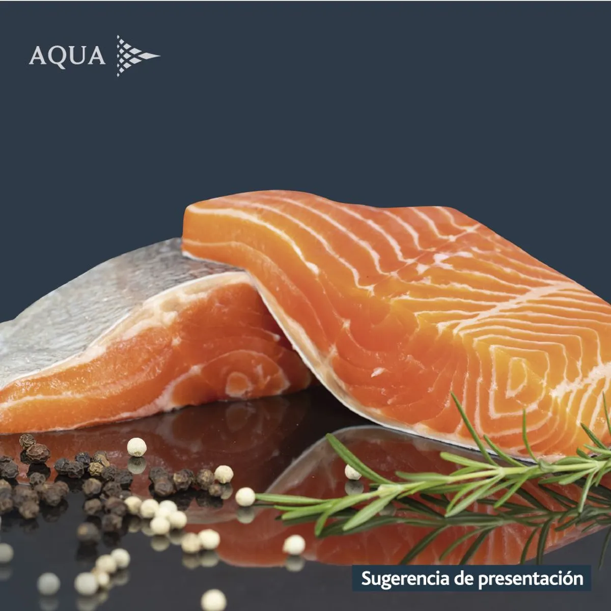 AQUA - Filetes de Salmón Congelados Aqua 500 g