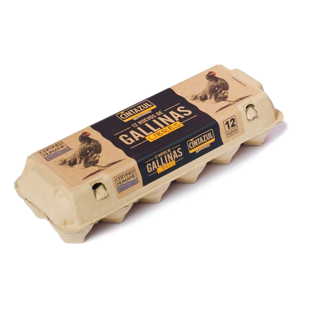 CINTAZUL - Huevo de Color Gallina Libre