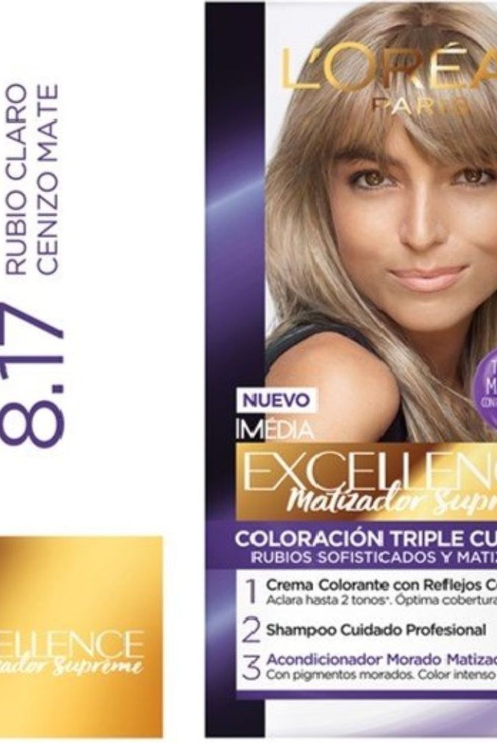 EXCELLENCE - Tintura Rubio Claro Cenizo Mate 8.17