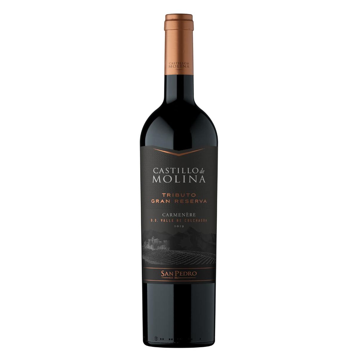 CASTILLO DE MOLINA - Vino Castillo de Molina Tributo Carmenere