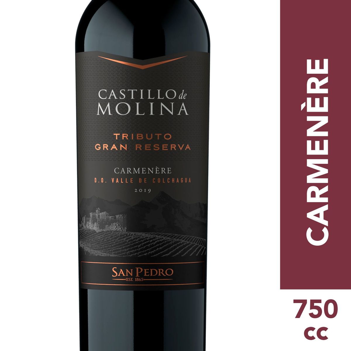 CASTILLO DE MOLINA - Vino Castillo de Molina Tributo Carmenere