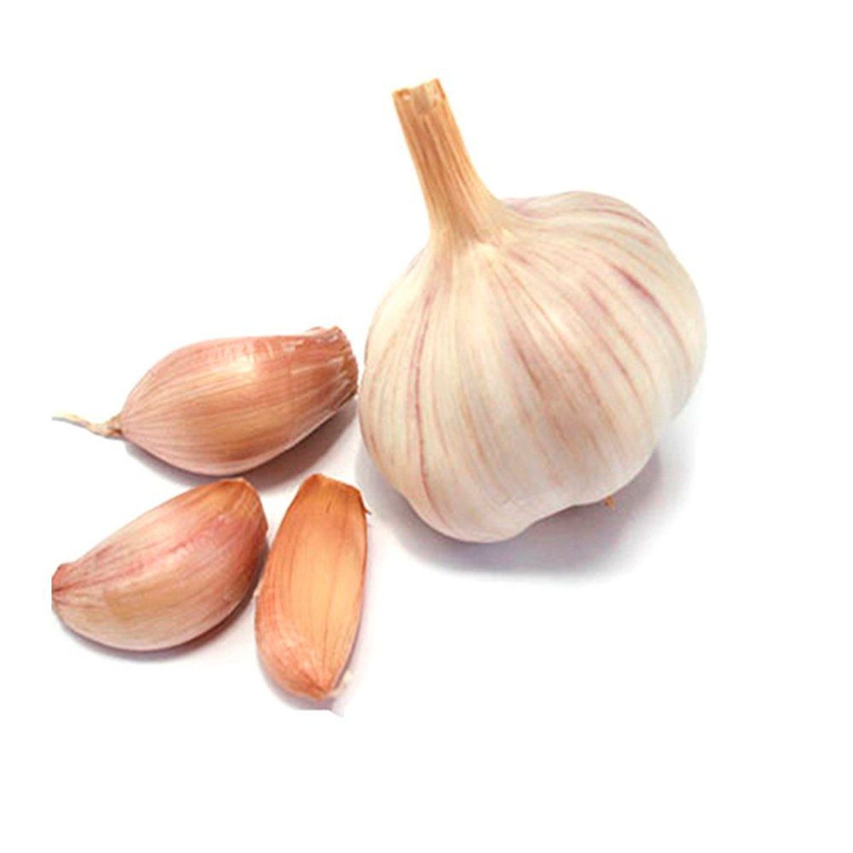 TOTTUS - Ajo Chilote Grande en Malla 3 Un