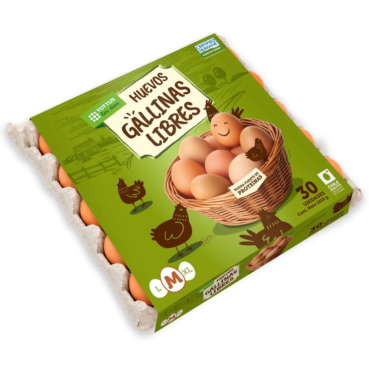 TOTTUS - Huevos Gallinas Libres Mediano