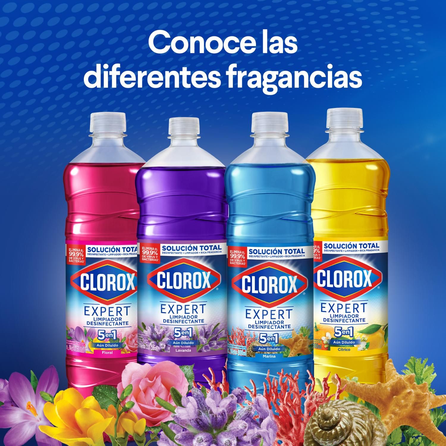 Limpiador Desinfectante Clorox Lavanda Botella 1.8 Lts | Tottus Chile