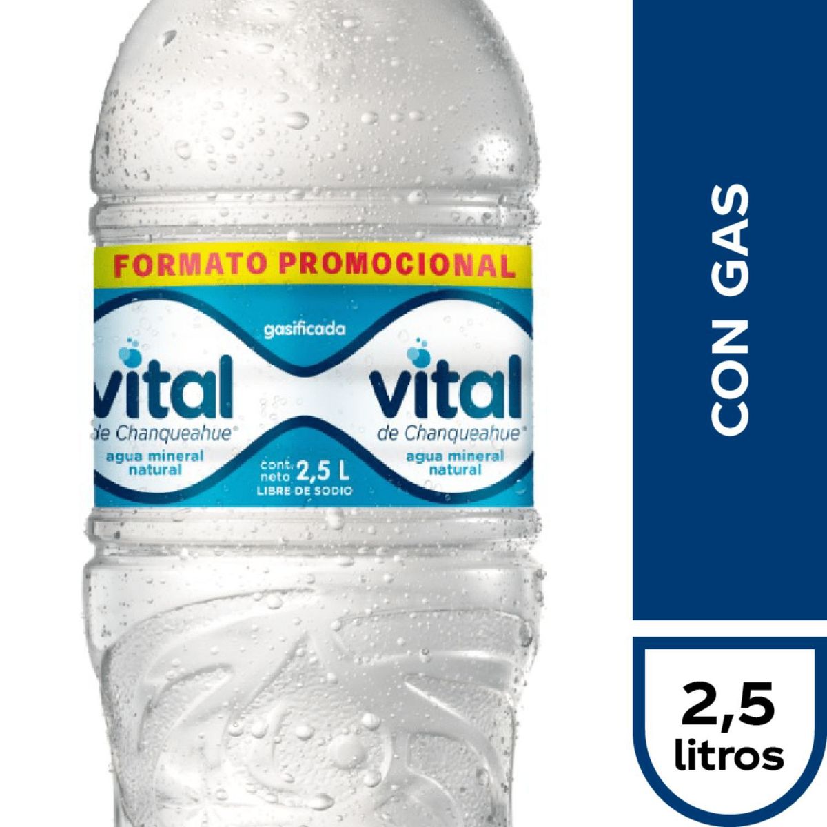 VITAL - AGUA CON GAS VITAL 2.5 LT