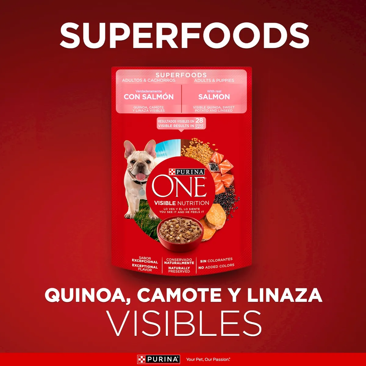 PURINA ONE - Alimento Húmedo para Perro Adultos y Cachorros Superfoods