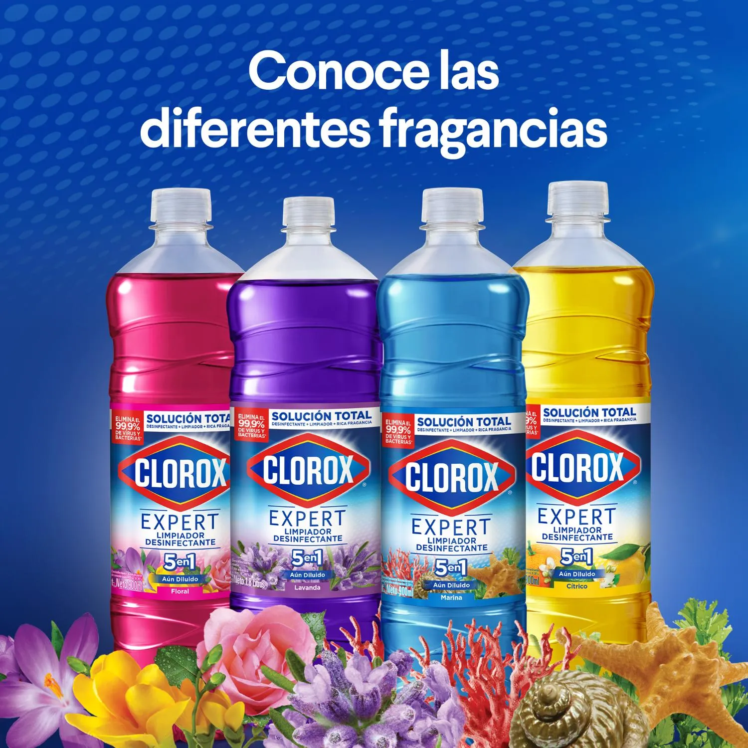Clorox Limpiador Desinfectante Floral Botella 1.8 Lts | Tottus Chile