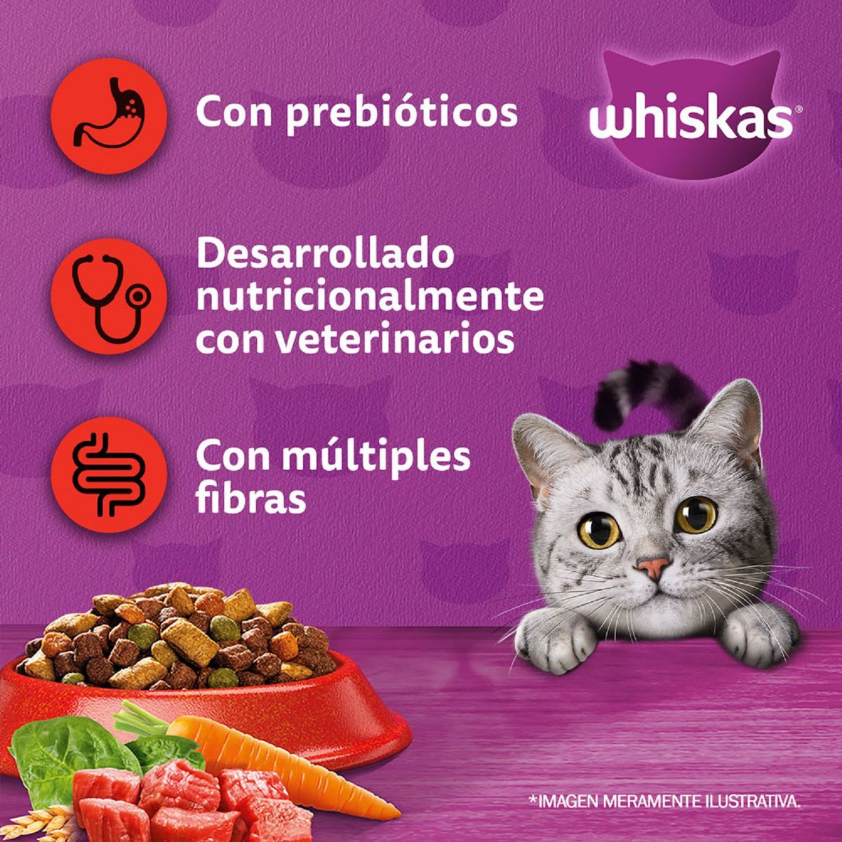 WHISKAS - Alimento Seco para Gato Sabor Carne