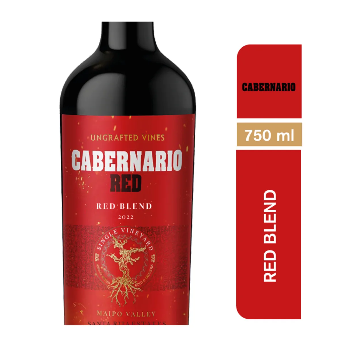 CABERNARIO - Vino Tinto Red Blend Cabernario 13.5° 750 cc