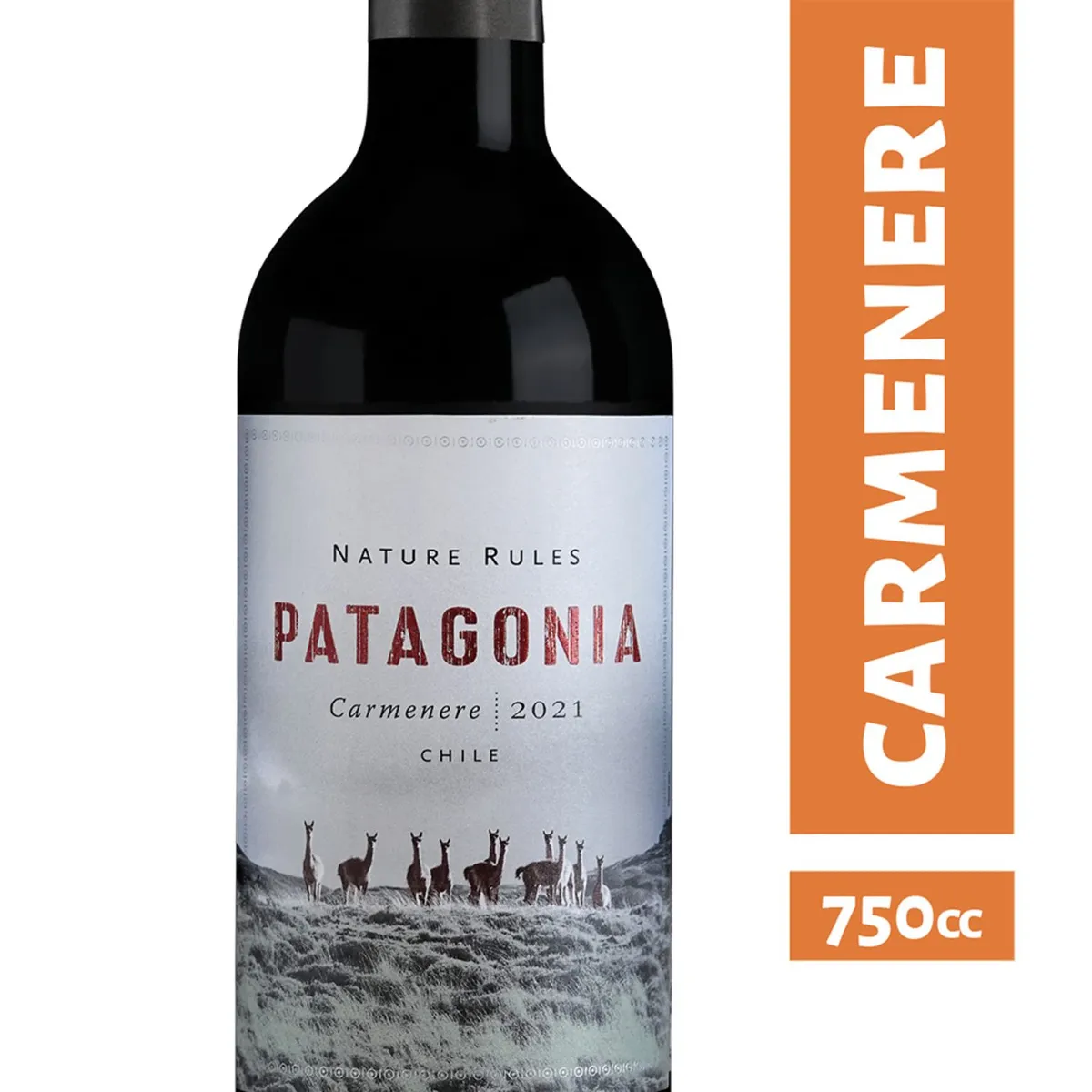 PATAGONIA - Vino Tinto Carmenere Patagonia 13° 750 cc