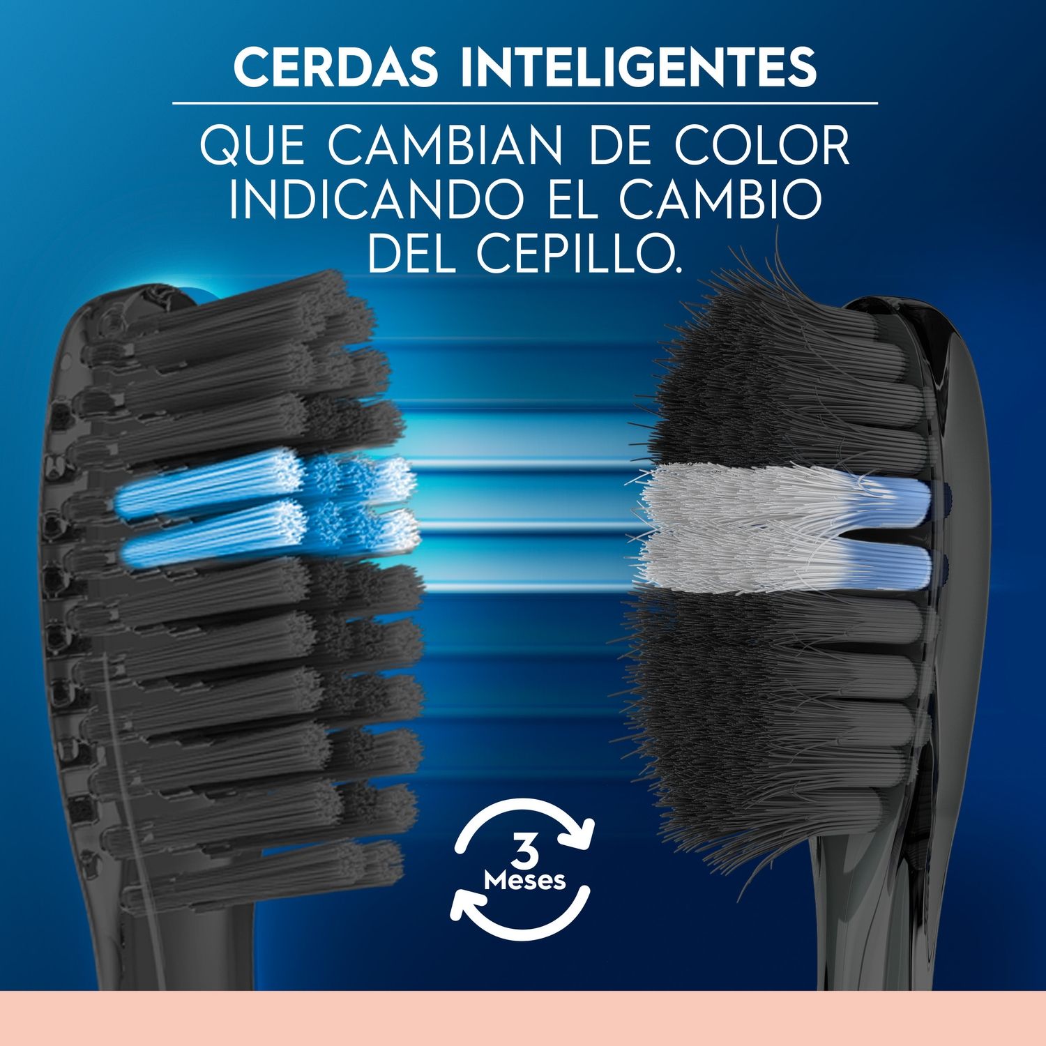 Cepillo de Dientes Oral B Indicator Black 2 Un | Tottus Chile