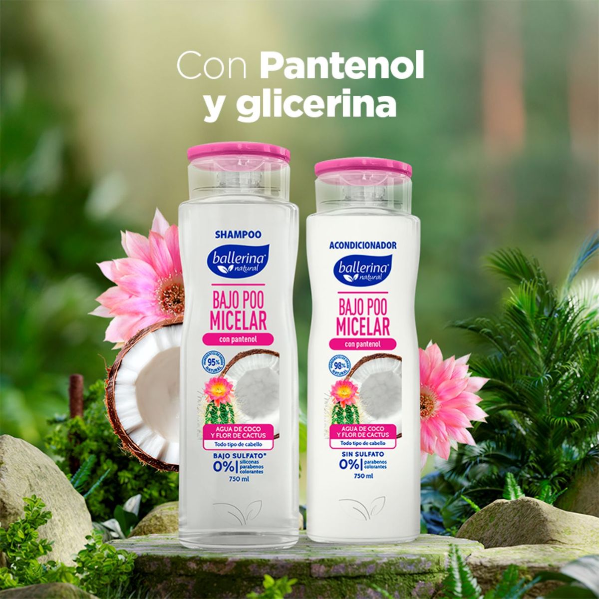 BALLERINA - Shampoo Micelar Sin Sulfato Agua de Coco y Flor de Cactus