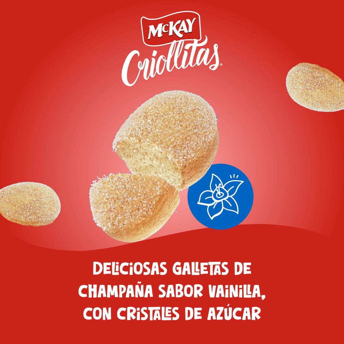 MCKAY - GALLETA CHAMPANA CRIOLLITA 0.12 KL