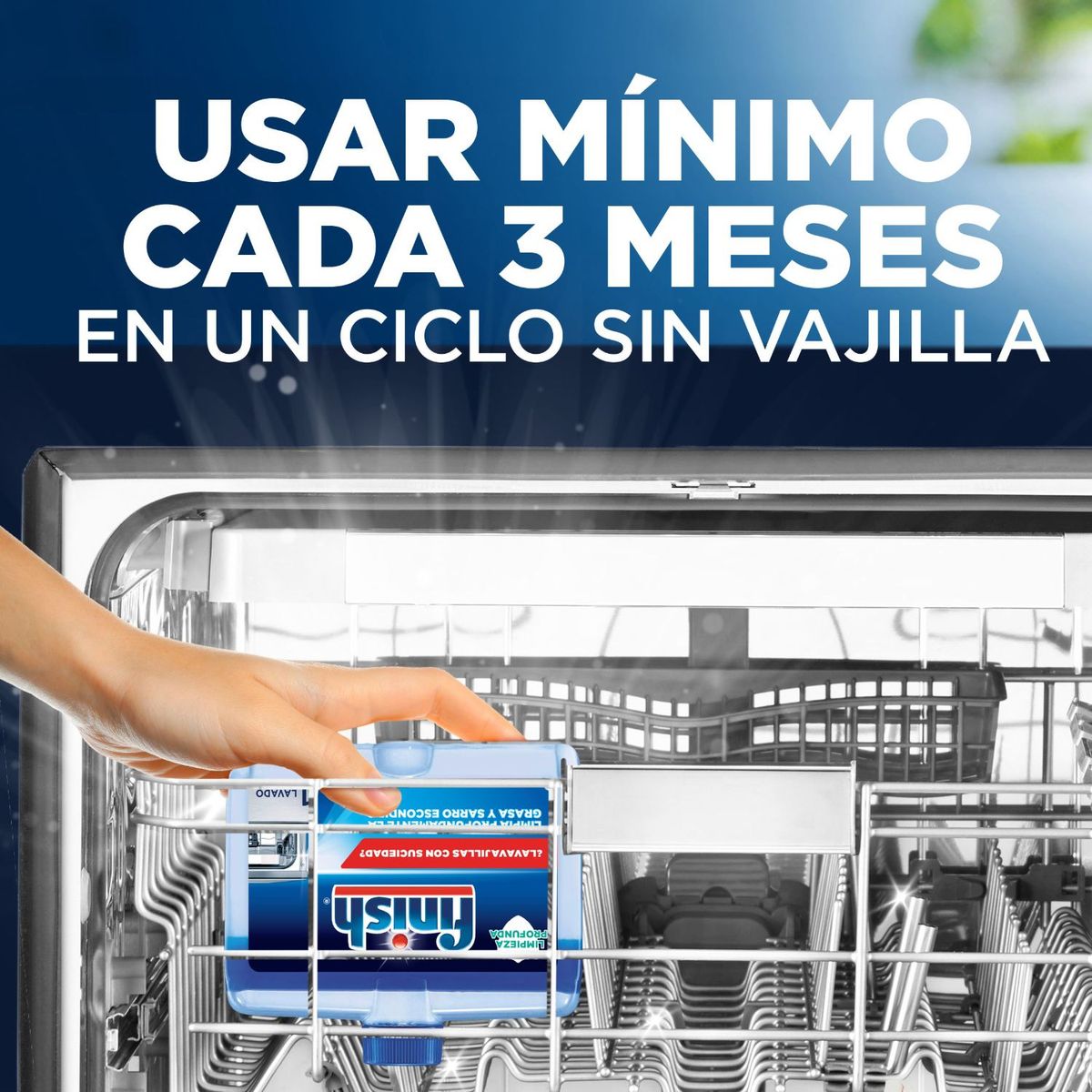 FINISH - Limpiador para Máquina de Lavavajillas Finish 250 ml