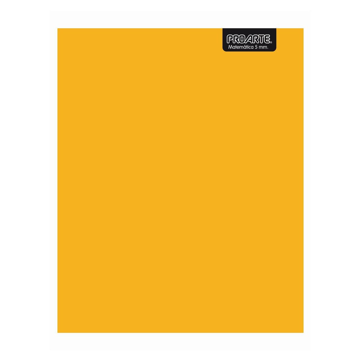 PROARTE - CUADERNO PROARTE COLLEGE LISO 100H 5MM