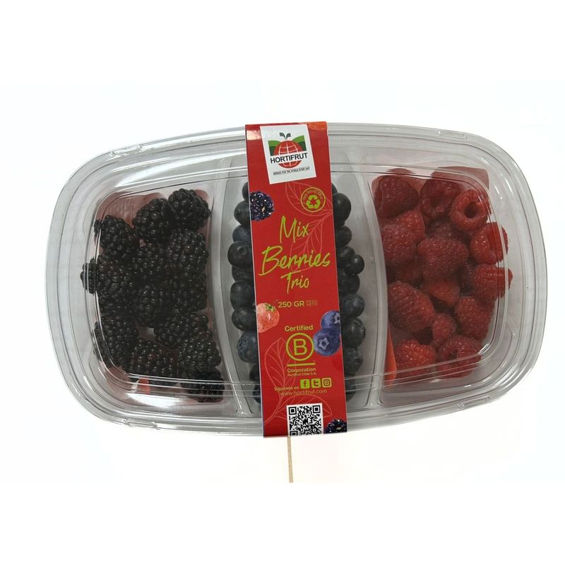 FRUTAS - Mix Arándanos, Mora y Frambuesa 210 g