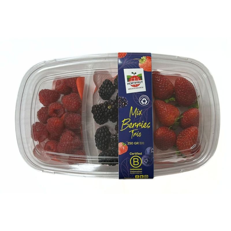 FRUTAS - Mix Frutilla, Mora y Frambuesa 210 g