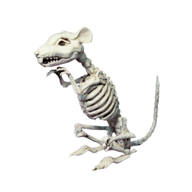 CARNAVAL - Esqueleto Rata 33Cm